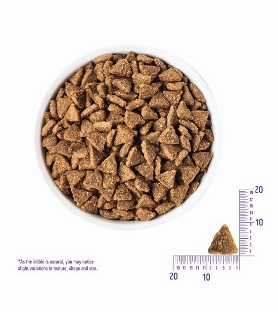 Wellness Complete Health Small Breed Wholesome Grains Adult Dry Dog Food (Deboned Turkey & Oatmeal Recipe)
