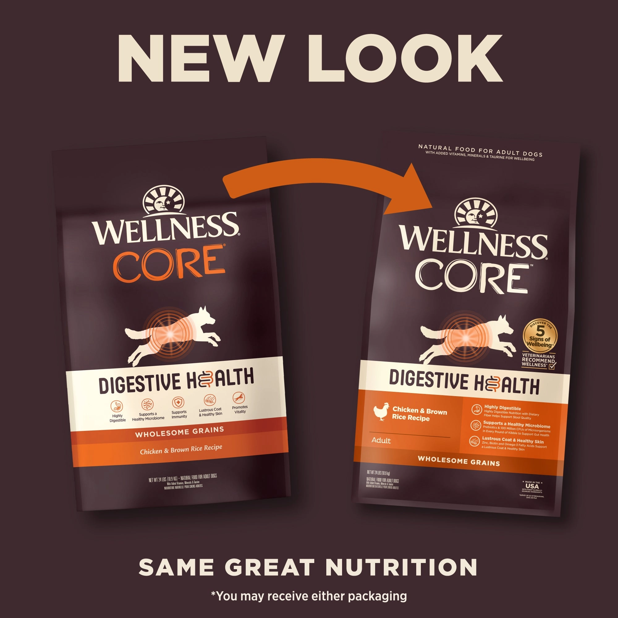 Wellness CORE Digestive Health Wholesome Grains Adult Dry Dog Food (Chicken & Brown Rice Recipe)
