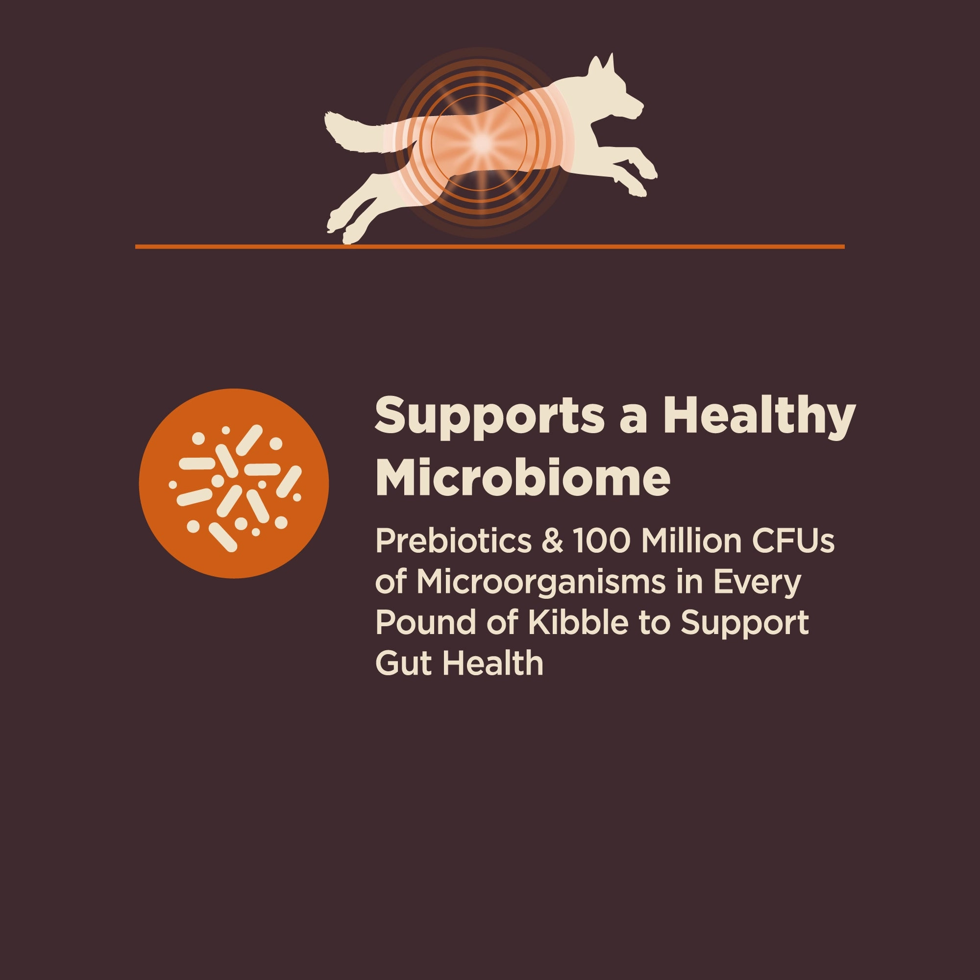 Wellness CORE Digestive Health Wholesome Grains Adult Dry Dog Food (Chicken & Brown Rice Recipe)