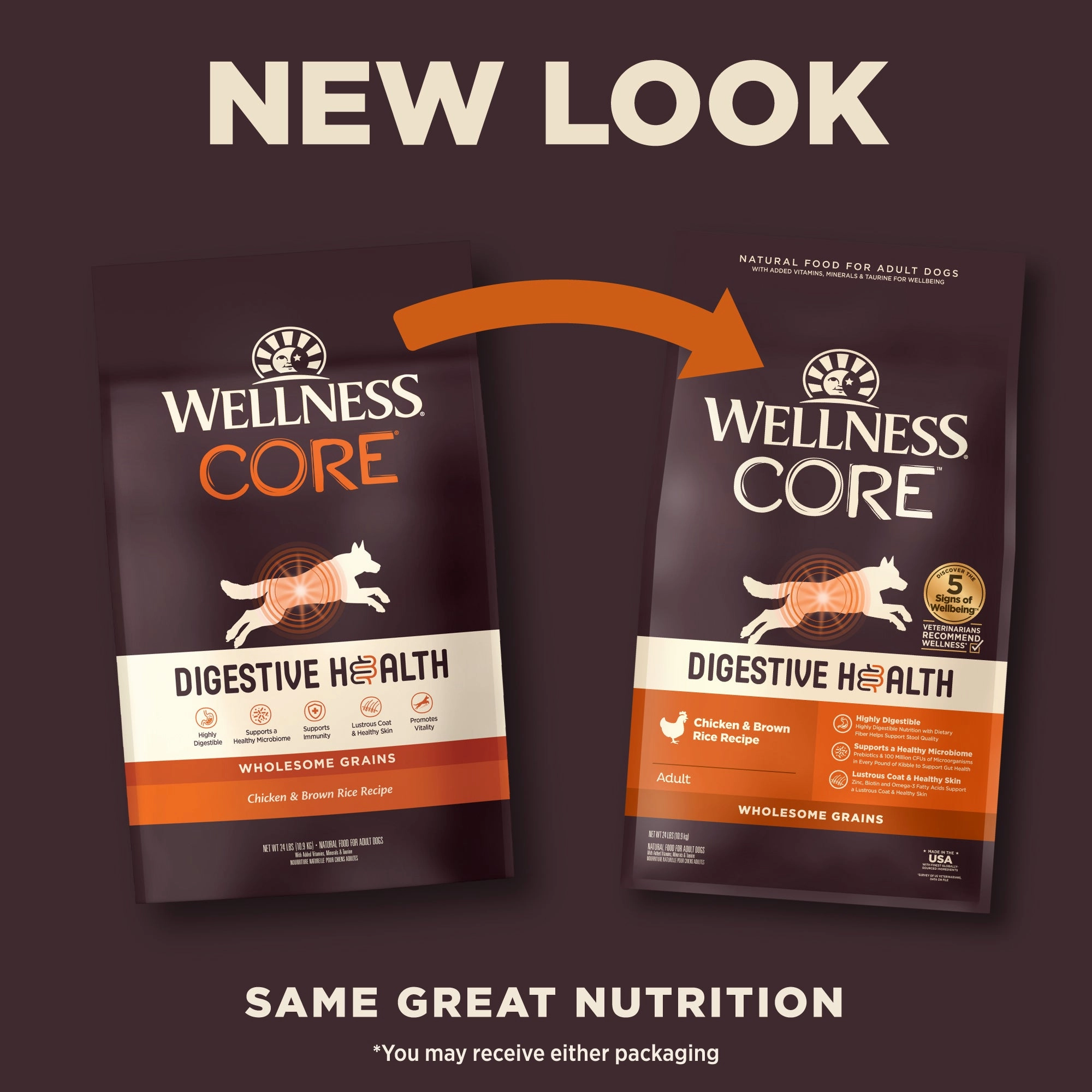 Wellness CORE Digestive Health Wholesome Grains Adult Dry Dog Food (Chicken & Brown Rice Recipe)