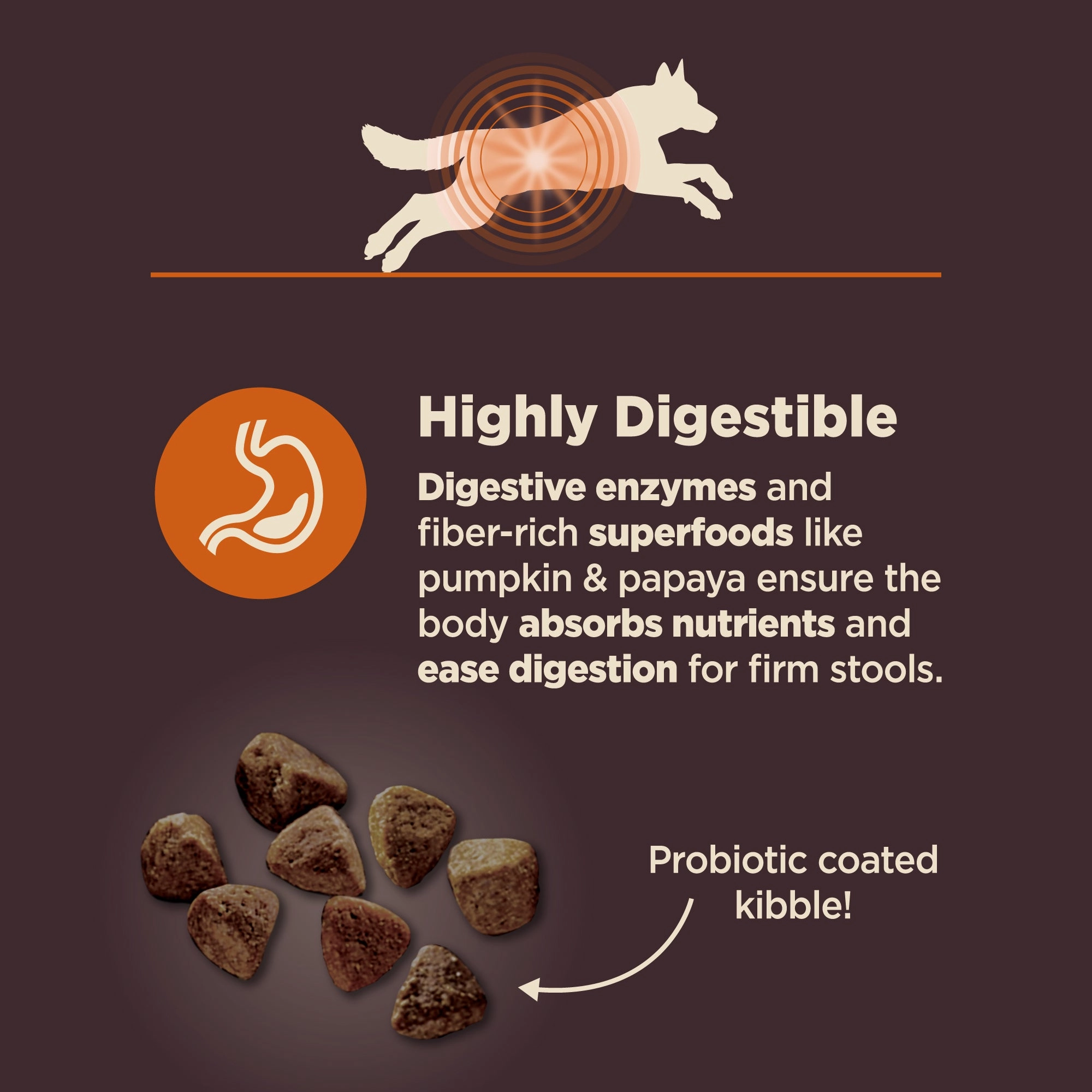 Wellness CORE Digestive Health Wholesome Grains Adult Dry Dog Food (Chicken & Brown Rice Recipe)