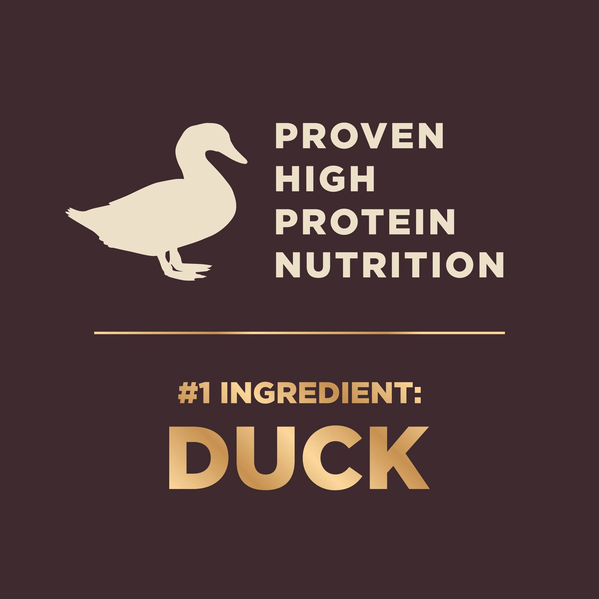Wellness CORE  Grain Free Wild Game Adult Dry Dog Food (Duck, Lamb Meal, Wild Boar & Rabbit Recipe)