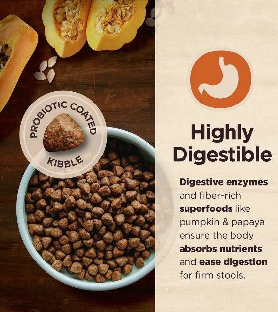 Wellness CORE Small Breed Digestive Health Adult Dry Dog Food (Chicken & Brown Rice Recipe)