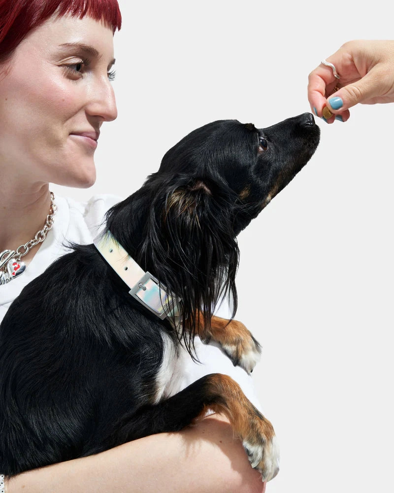 Wild One Anti-Odour Dog Collar (Limited Edition - Lunar)