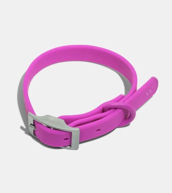 Wild One Anti-Odour Dog Collar (Orchid) dog charms,dog ID