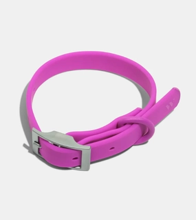 Wild One Anti-Odour Dog Collar (Orchid) dog charms,dog ID