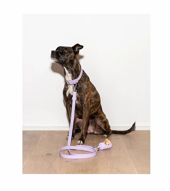 Wild One Anti-Odour Dog Leash (Blush)