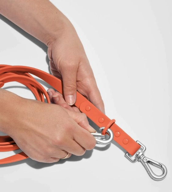 Wild One Anti-Odour Dog Leash (Limited Edition - Blaze)