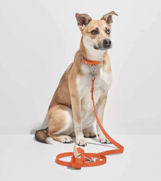 Wild One Anti-Odour Dog Leash (Limited Edition - Blaze)