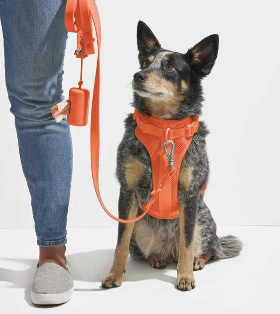 Wild One Anti-Odour Dog Leash (Limited Edition - Blaze)