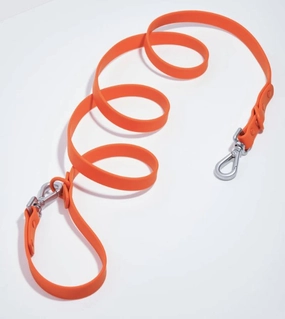 Wild One Anti-Odour Dog Leash (Limited Edition - Blaze) dog vitamins,health care