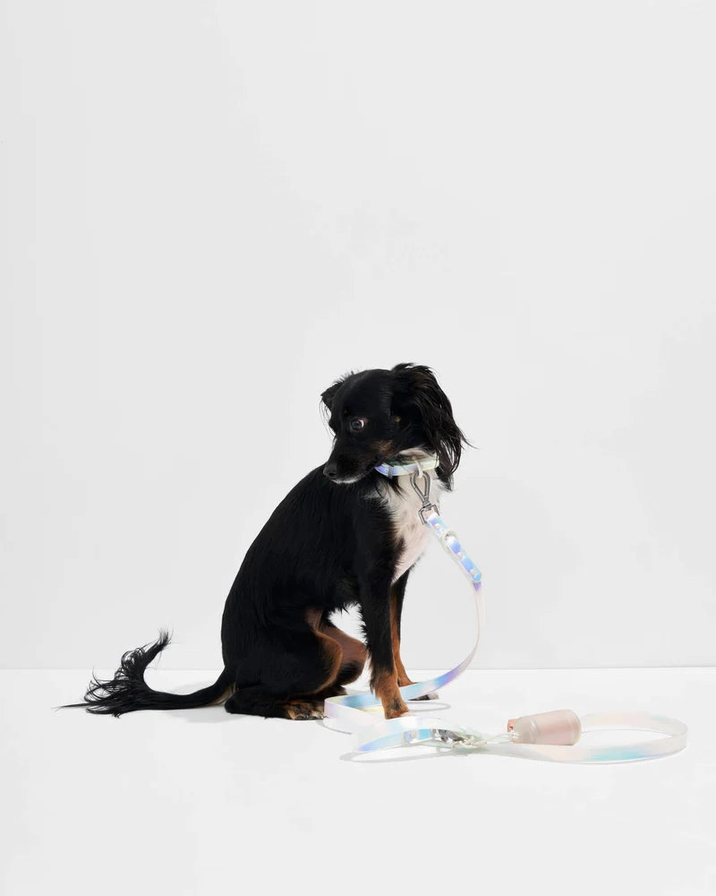 Wild One Anti-Odour Dog Leash (Limited Edition - Lunar)