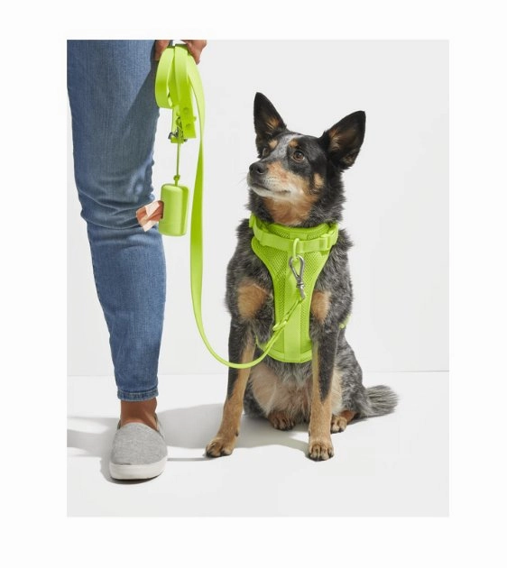 Wild One Anti-Odour Dog Leash (Moss)