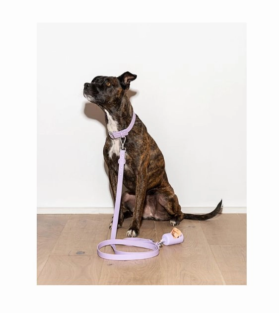 Wild One Anti-Odour Dog Leash (Orchid)