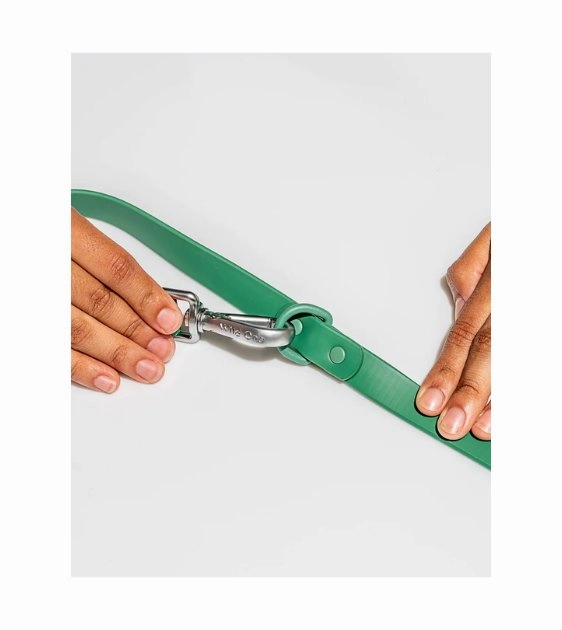 Wild One Anti-Odour Dog Leash (Spruce)