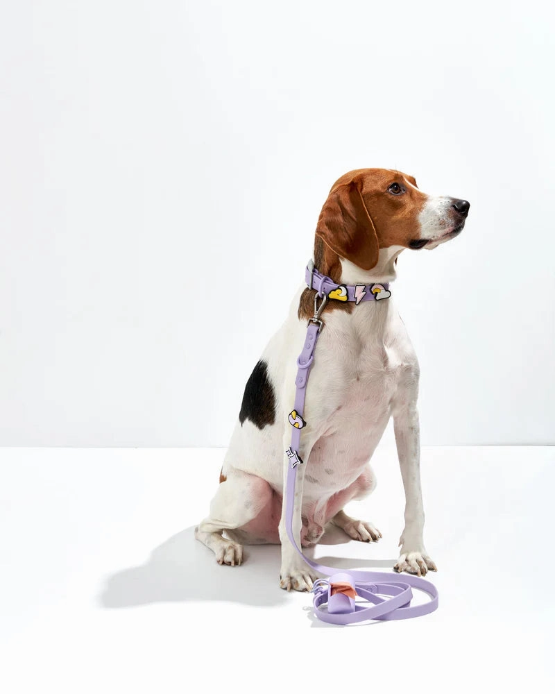 Wild One Flair Charms Pack For Leash & Collar (Dream)