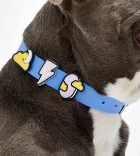 Wild One Flair Charms Pack For Leash & Collar (Dream) dog joint care,hip support