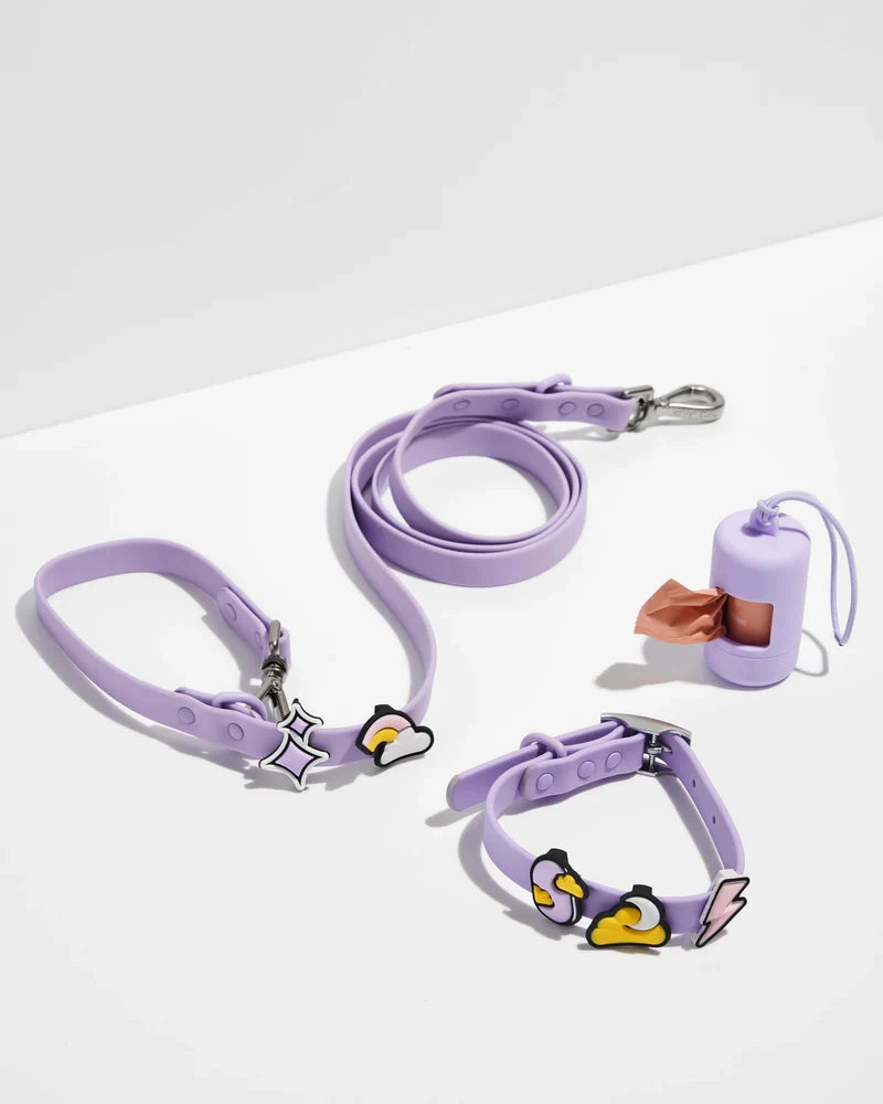 Wild One Flair Charms Pack For Leash & Collar (Dream)
