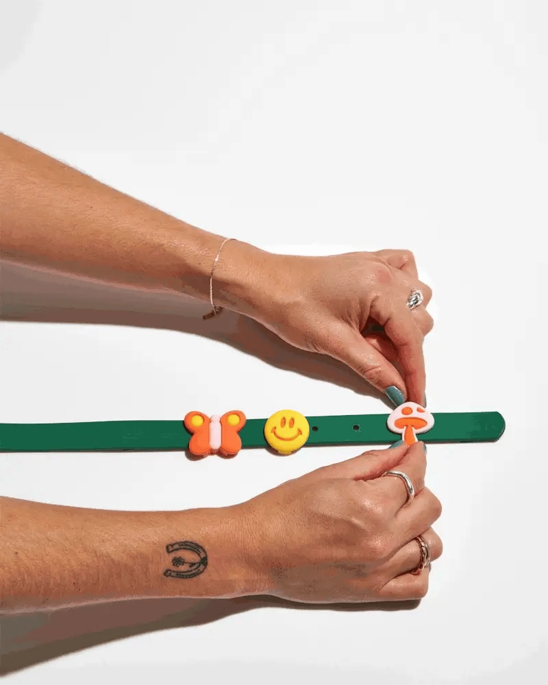 Wild One Flair Charms Pack For Leash & Collar (Groovy)
