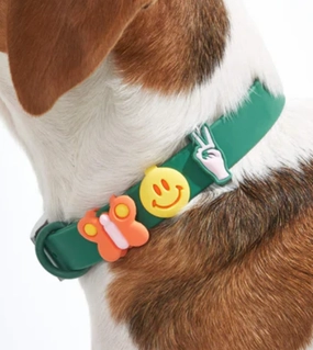 Wild One Flair Charms Pack For Leash & Collar (Groovy) dog charms,dog ID