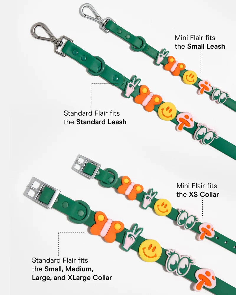 Wild One Flair Charms Pack For Leash & Collar (Groovy)
