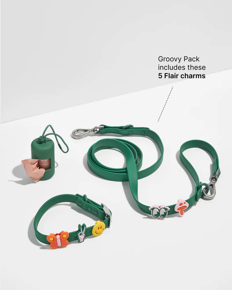 Wild One Flair Charms Pack For Leash & Collar (Groovy)