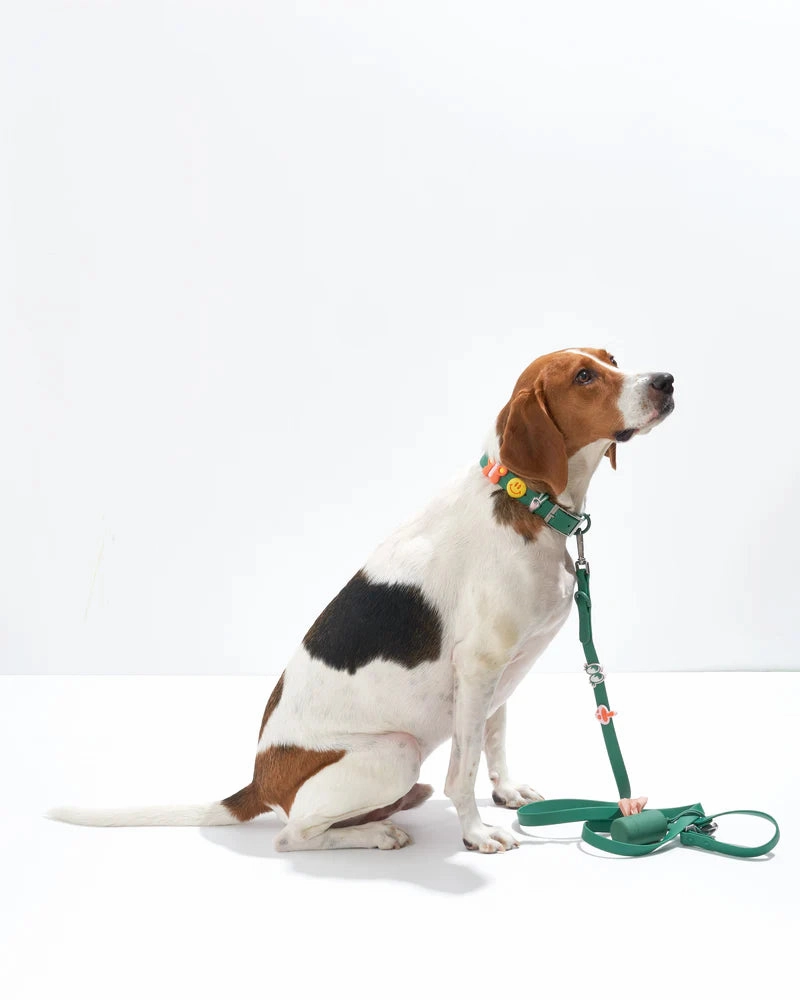 Wild One Flair Charms Pack For Leash & Collar (Groovy)