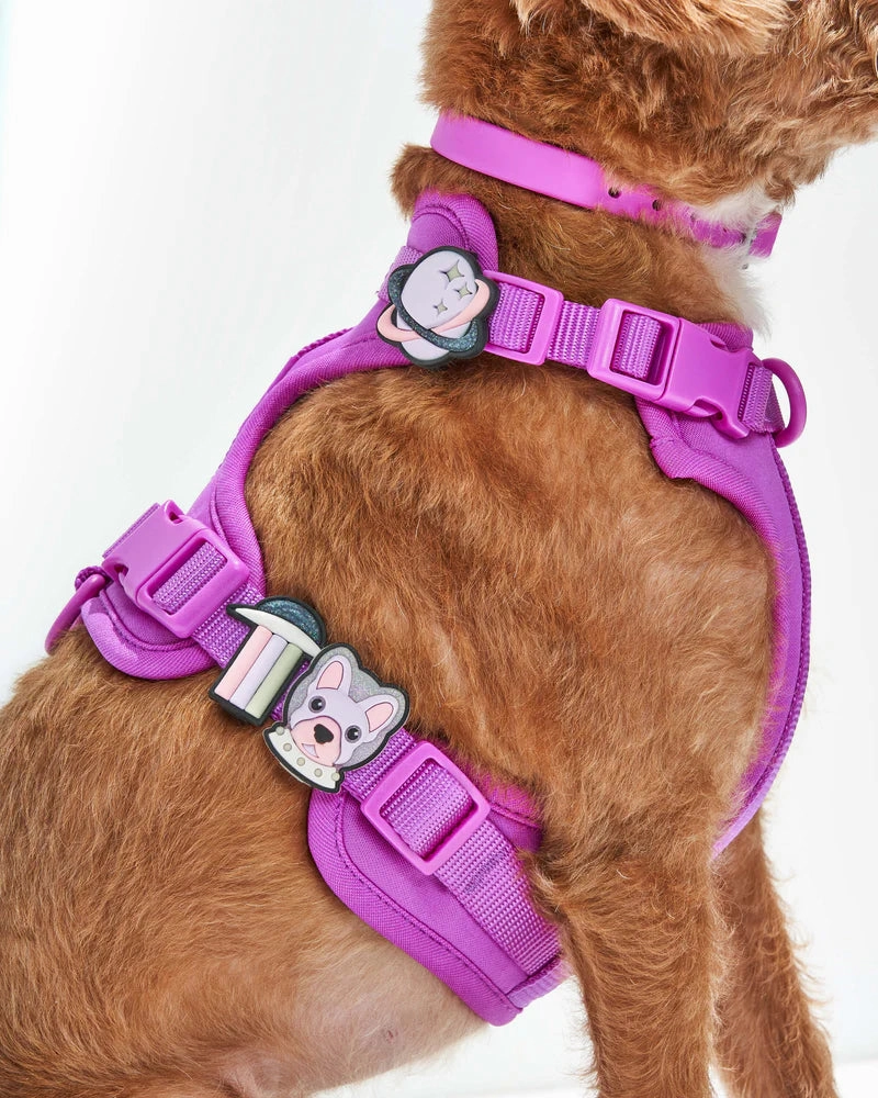 Wild One Glow-In-The-Dark Flair Charms Pack For Leash & Collar (Space)