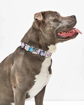 Wild One Glow-In-The-Dark Flair Charms Pack For Leash & Collar (Space) dog joint care,hip support
