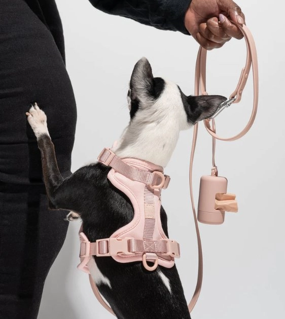 Wild One Poop Bag Carrier and Roll (Blush)