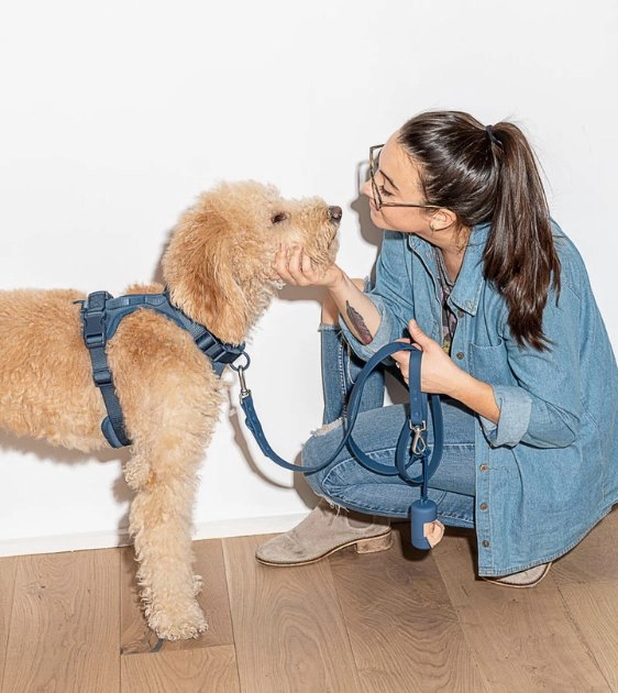 Wild One Poop Bag Carrier and Roll (Navy)