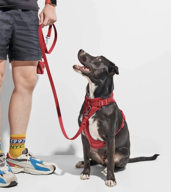 Wild One Poop Bag Carrier and Roll (Strawberry)