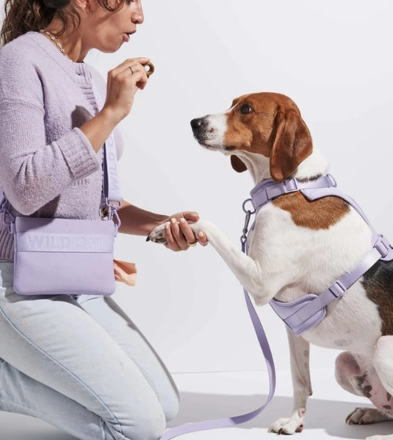 Wild One Recycled Knit Walking Treat Pouch (Lilac)