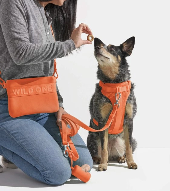Wild One Recycled Knit Walking Treat Pouch (Limited Edition - Blaze)