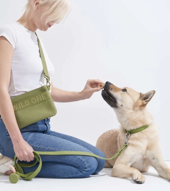 Wild One Recycled Knit Walking Treat Pouch (Moss)