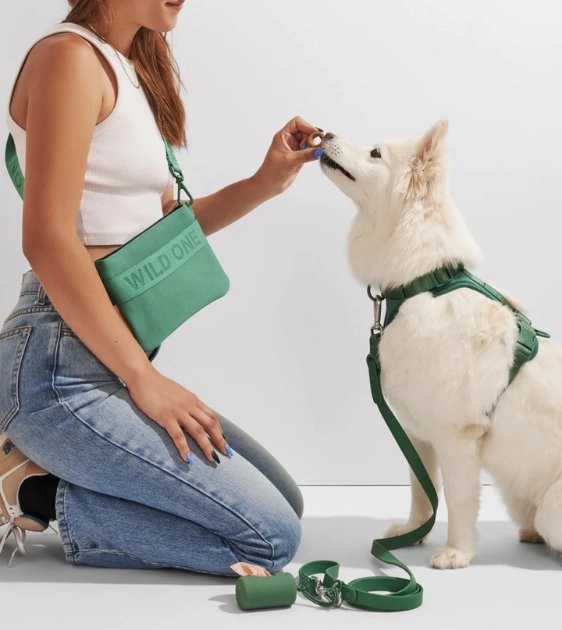 Wild One Recycled Knit Walking Treat Pouch (Spruce)