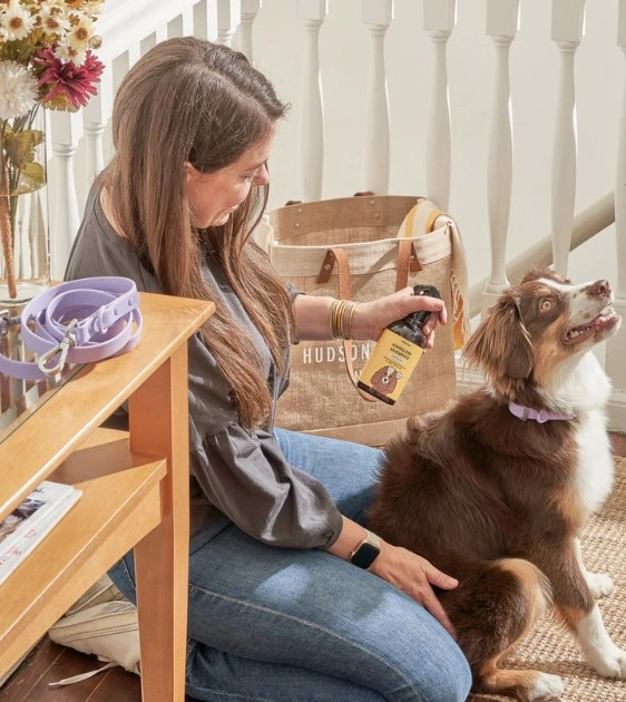Wild One Rinseless Dog Shampoo (Cedar & Citrus)