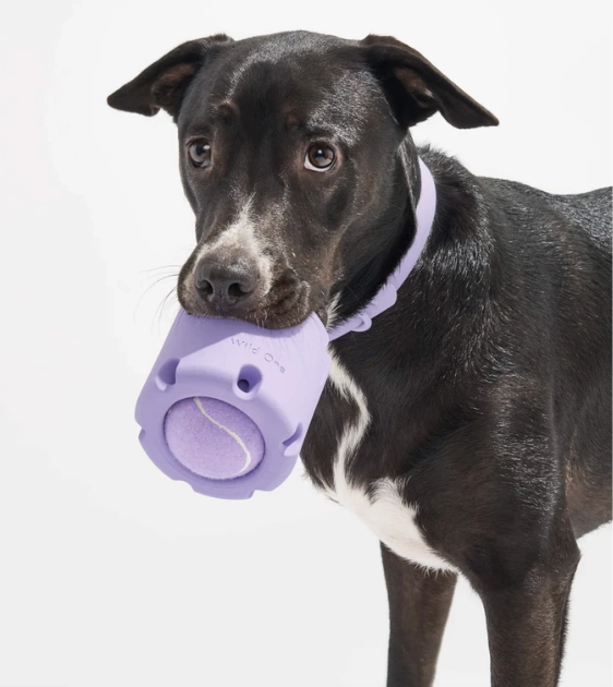 Wild One Tennis Tumble Dog Chew Toy (Lilac)