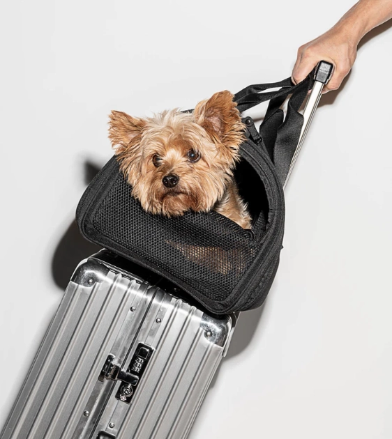 Wild One Travel Carrier (Black)