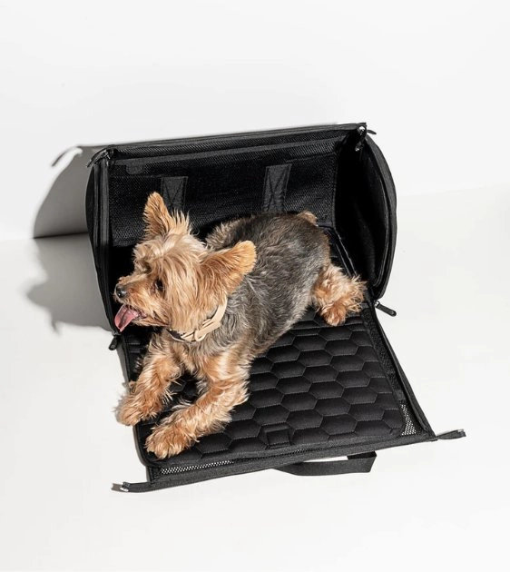 Wild One Travel Carrier (Black)