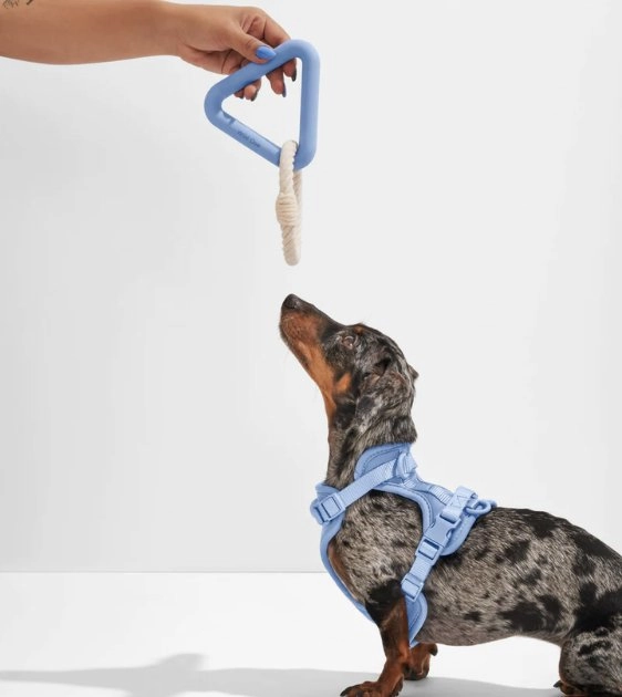 Wild One Triangle Tug Dog Chew Toy (Moonstone)