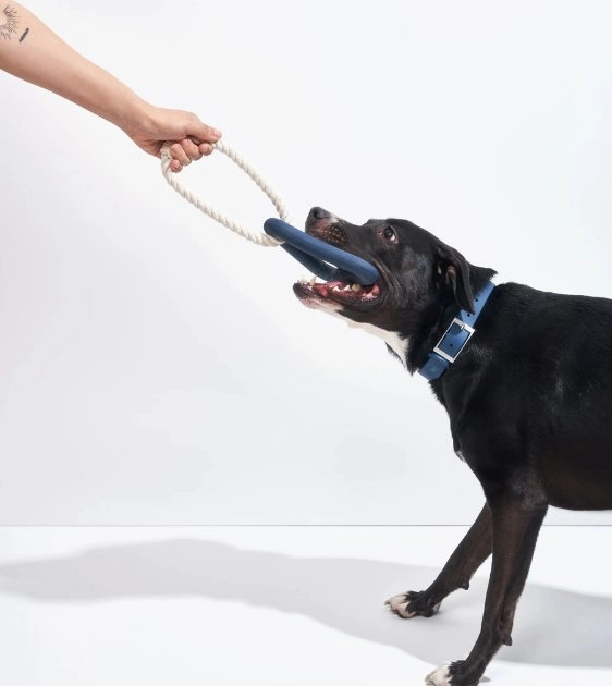 Wild One Triangle Tug Dog Chew Toy (Moonstone)