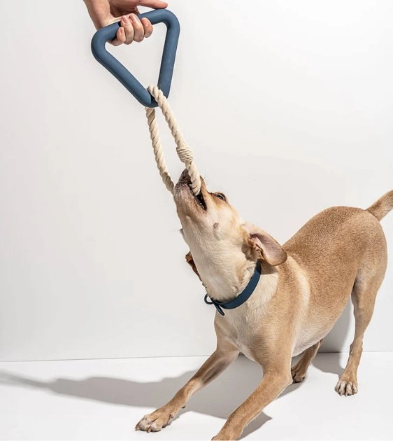 Wild One Triangle Tug Dog Chew Toy (Strawberry)