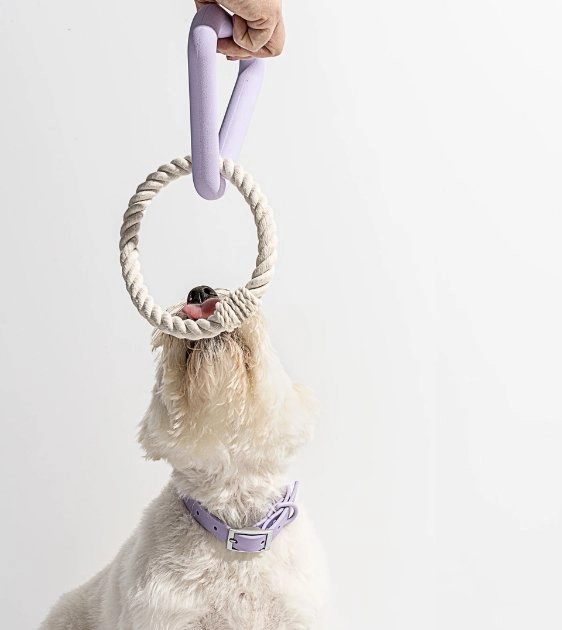 Wild One Triangle Tug Dog Chew Toy (Strawberry)
