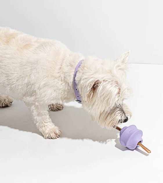 Wild One Twist Toss Dog Chew Toy (Lilac)