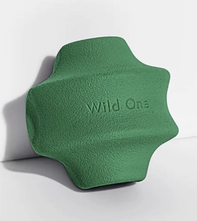 Wild One Twist Toss Dog Chew Toy (Spruce) dog chews,dog bones