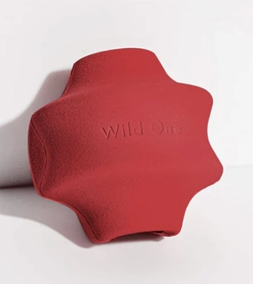 Wild One Twist Toss Dog Chew Toy (Strawberry) dog chews,dog bones