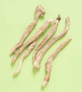 WildChow Freeze Dried Dog Chews (Lamb Pizzle Sticks) dog chews,dog bones