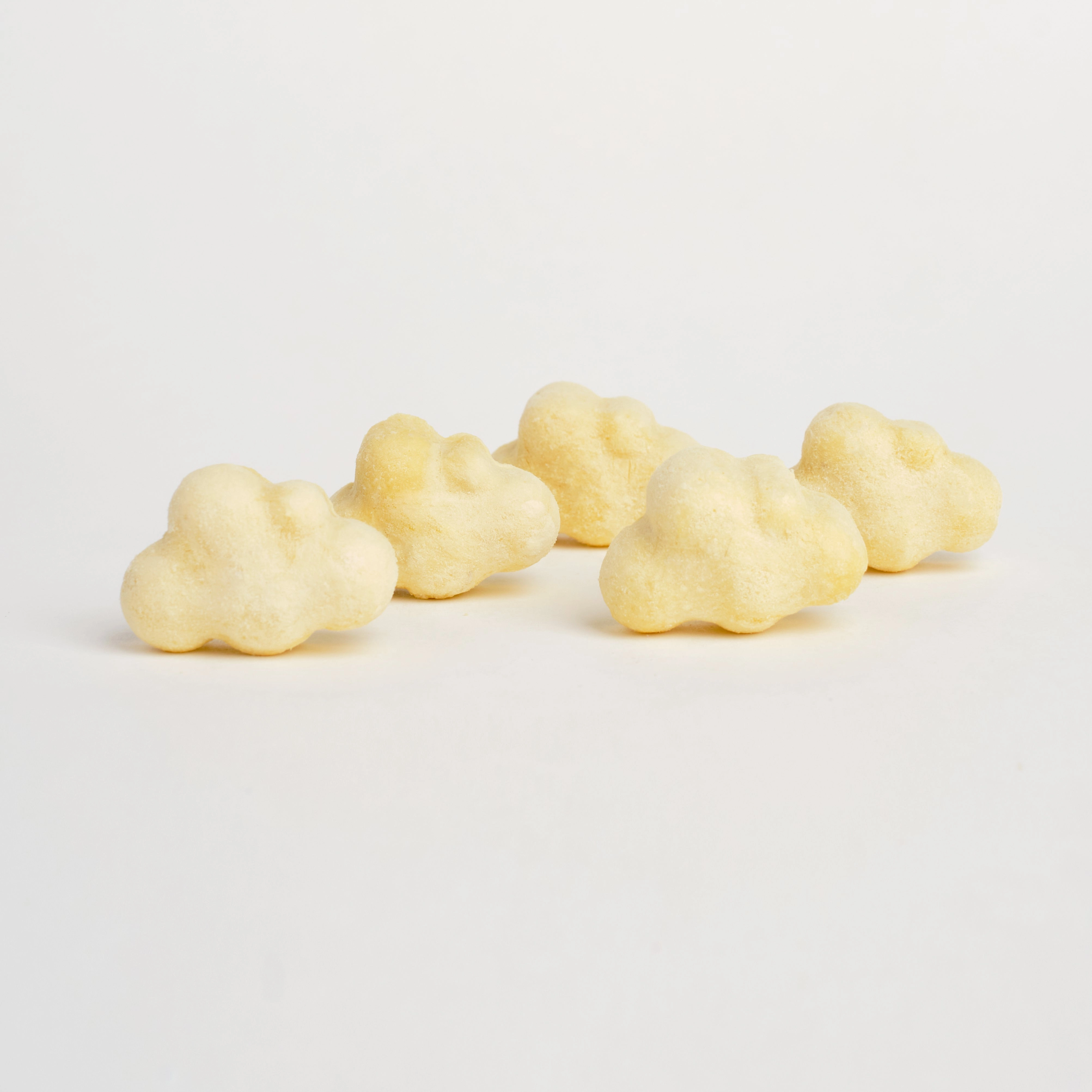 WildChow Freeze Dried Dog Treats (Durian Dream)