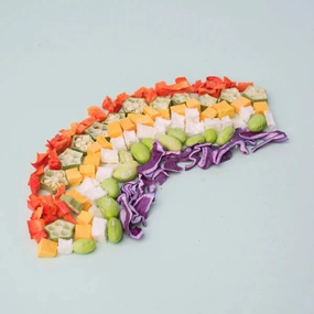 WildChow Freeze Dried Dog Treats (Garden Rainbow Vegetable Mix) dog leash,walking strap